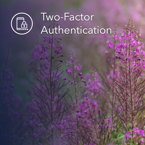 2FA Featuered Image